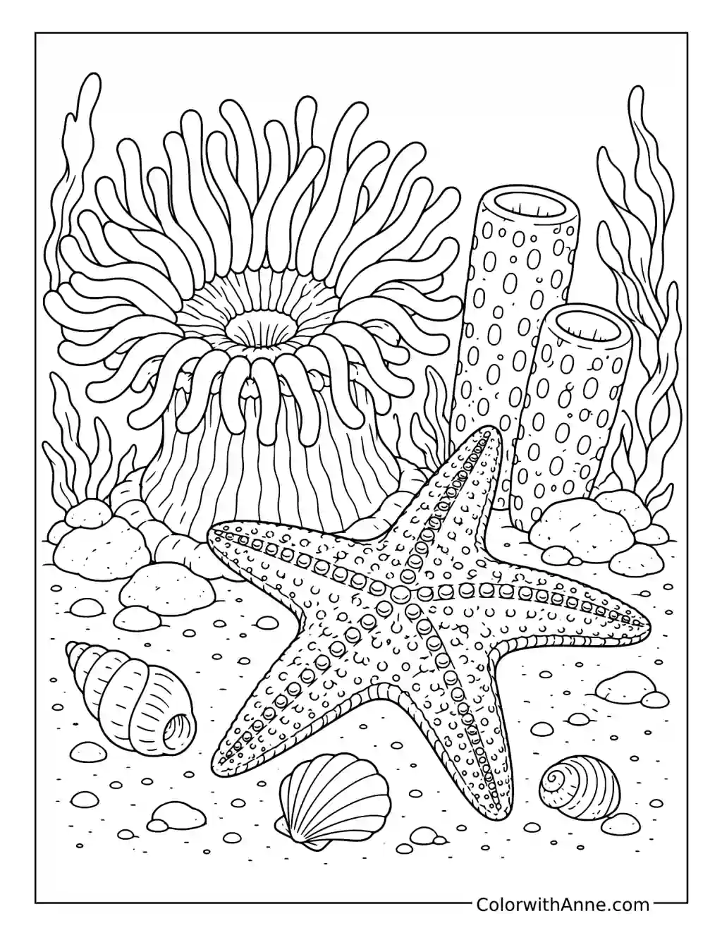 Starfish Beside a Sea Anemone and Tube Sponges coloring page