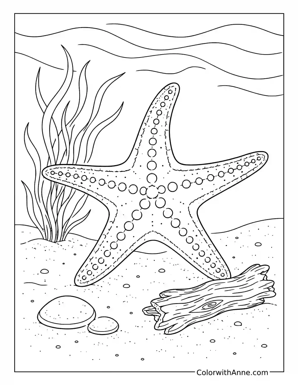 Starfish Beside Driftwood and Seaweed coloring page