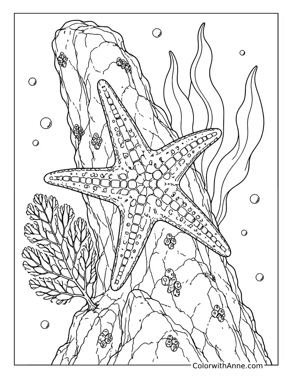 Starfish Clinging to a Tall Reef Rock coloring page