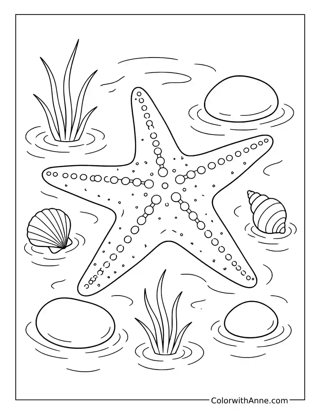 Starfish in a Rocky Shallow Pool coloring page