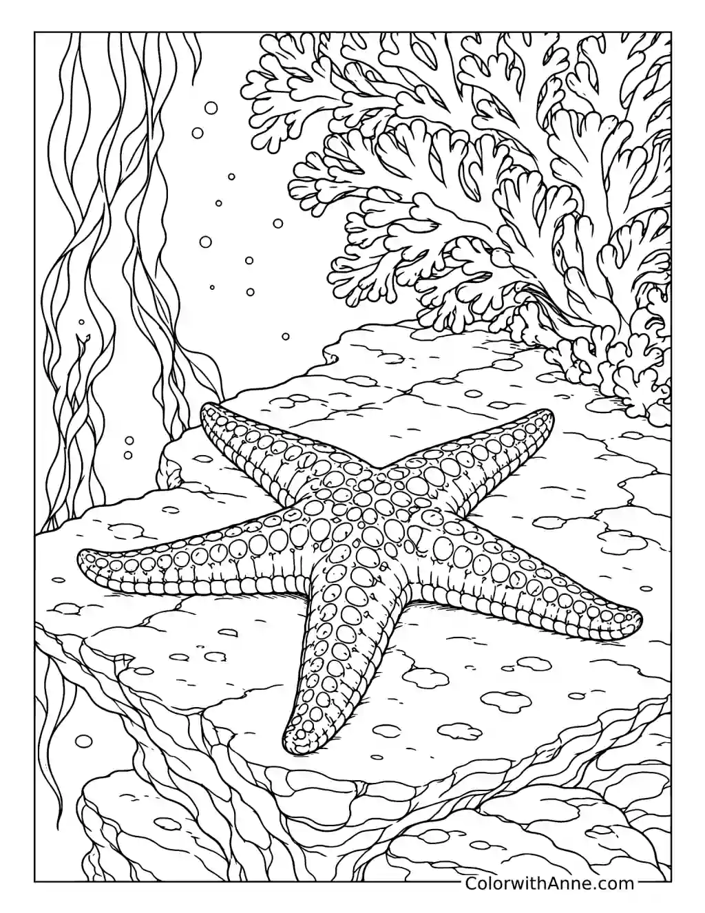Starfish Resting on an Underwater Ledge coloring page