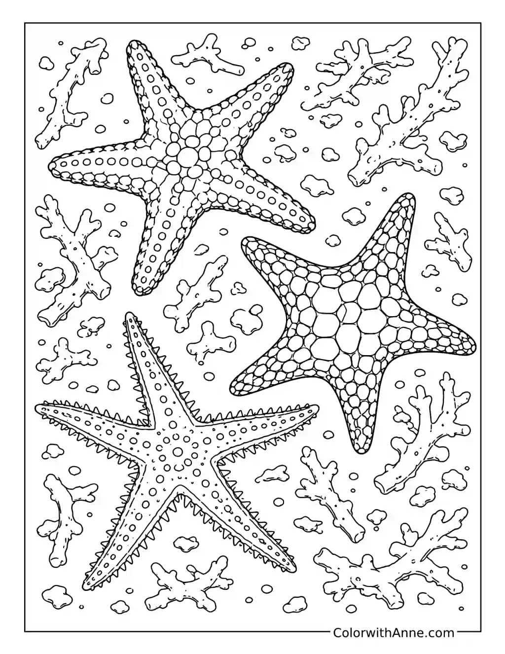 Three Starfish Among Coral Branches coloring page