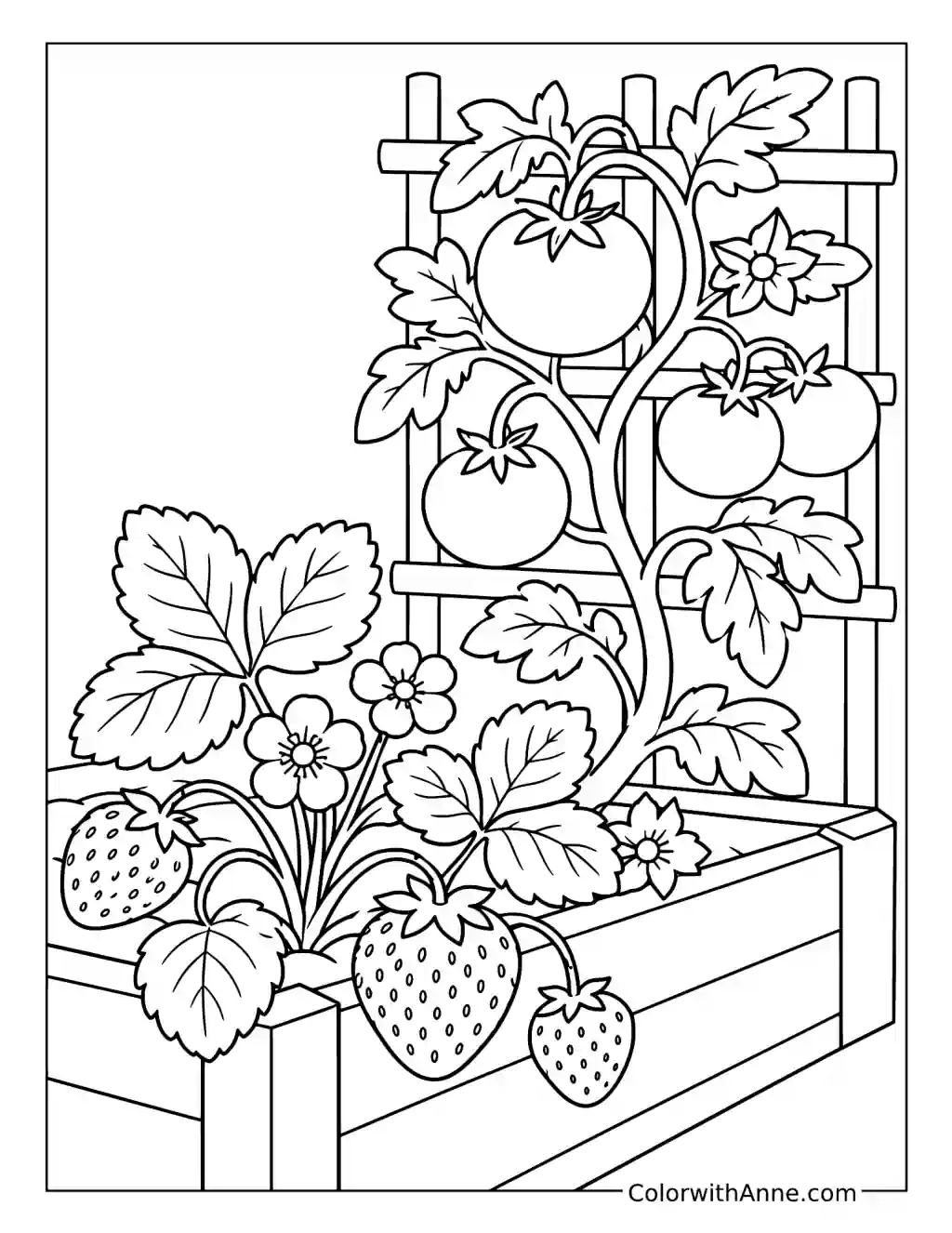 Tomatoes and Strawberries in a Raised Garden Bed coloring page