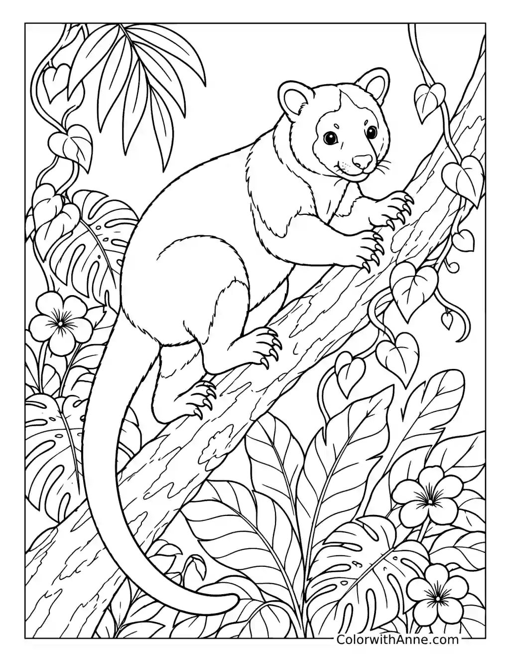 Tree Kangaroo on a Rainforest Branch coloring page