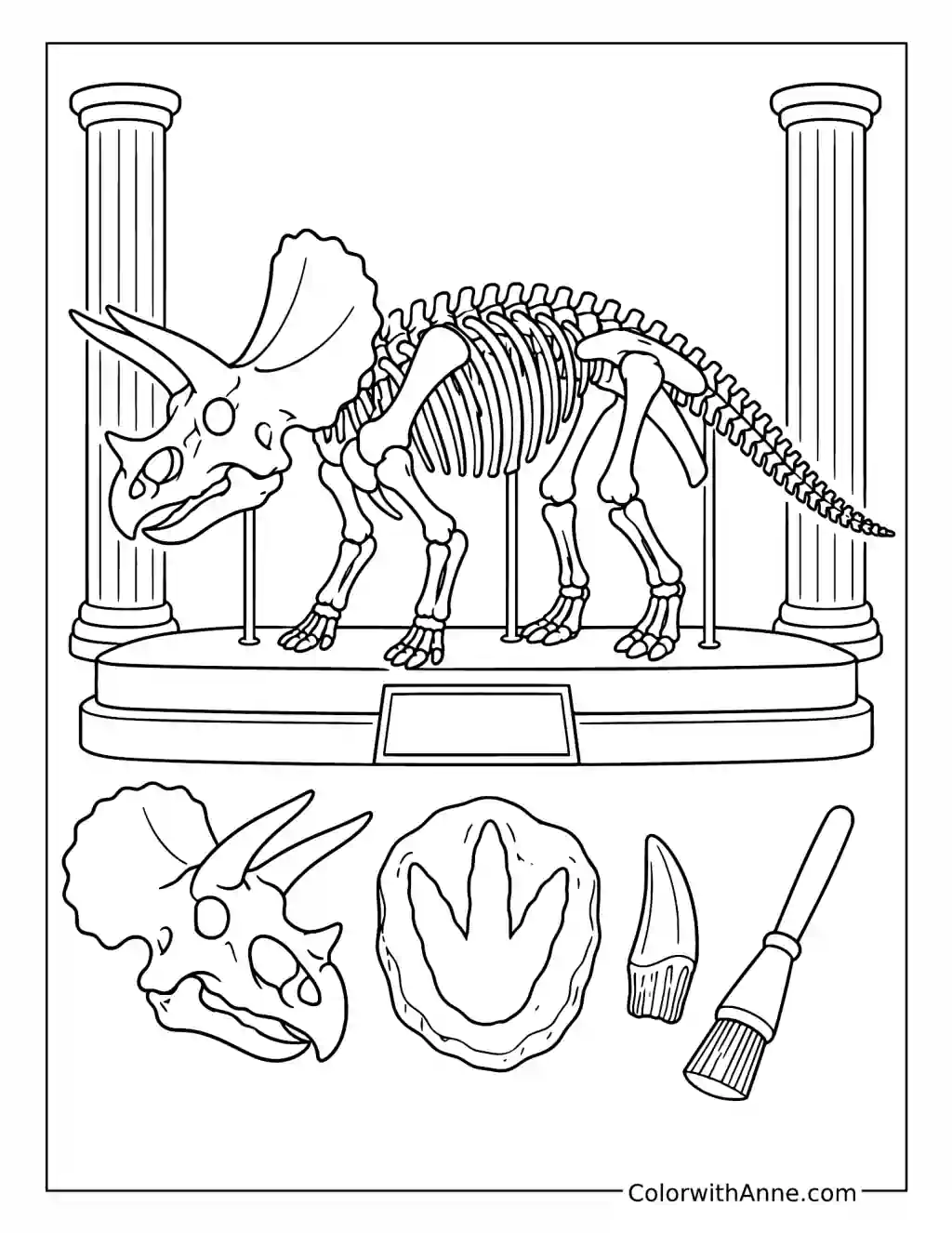 Triceratops Skeleton and Fossils Museum Display coloring page