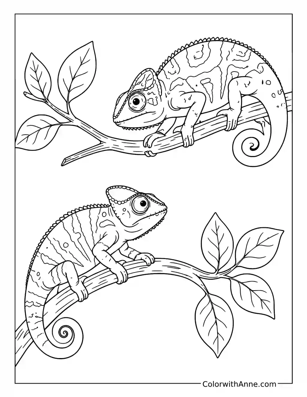Two Chameleons on Opposite Branches coloring page