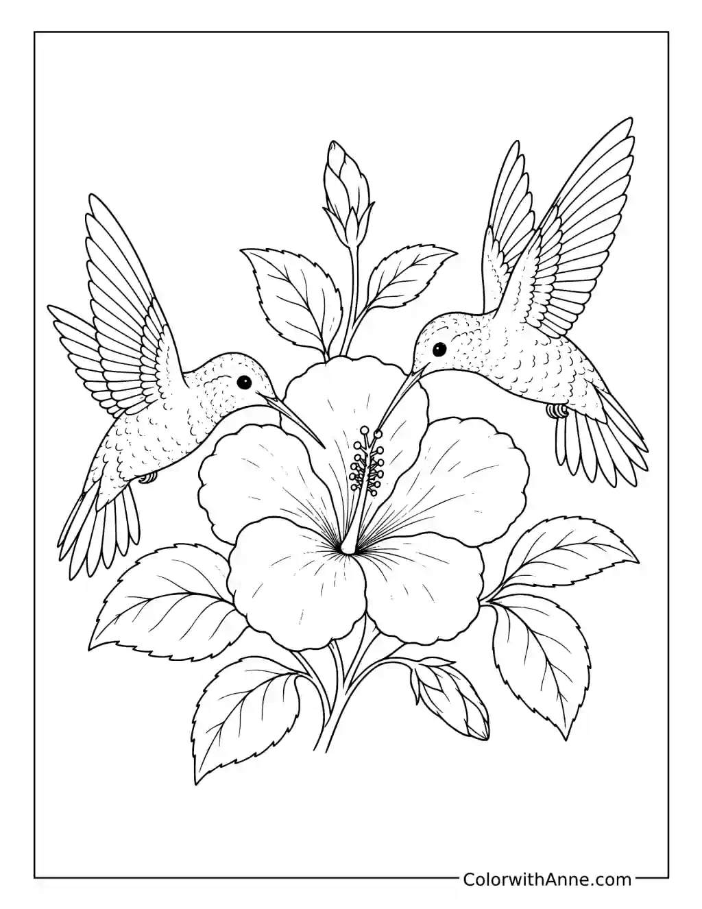 Two Hummingbirds Around a Flower coloring page