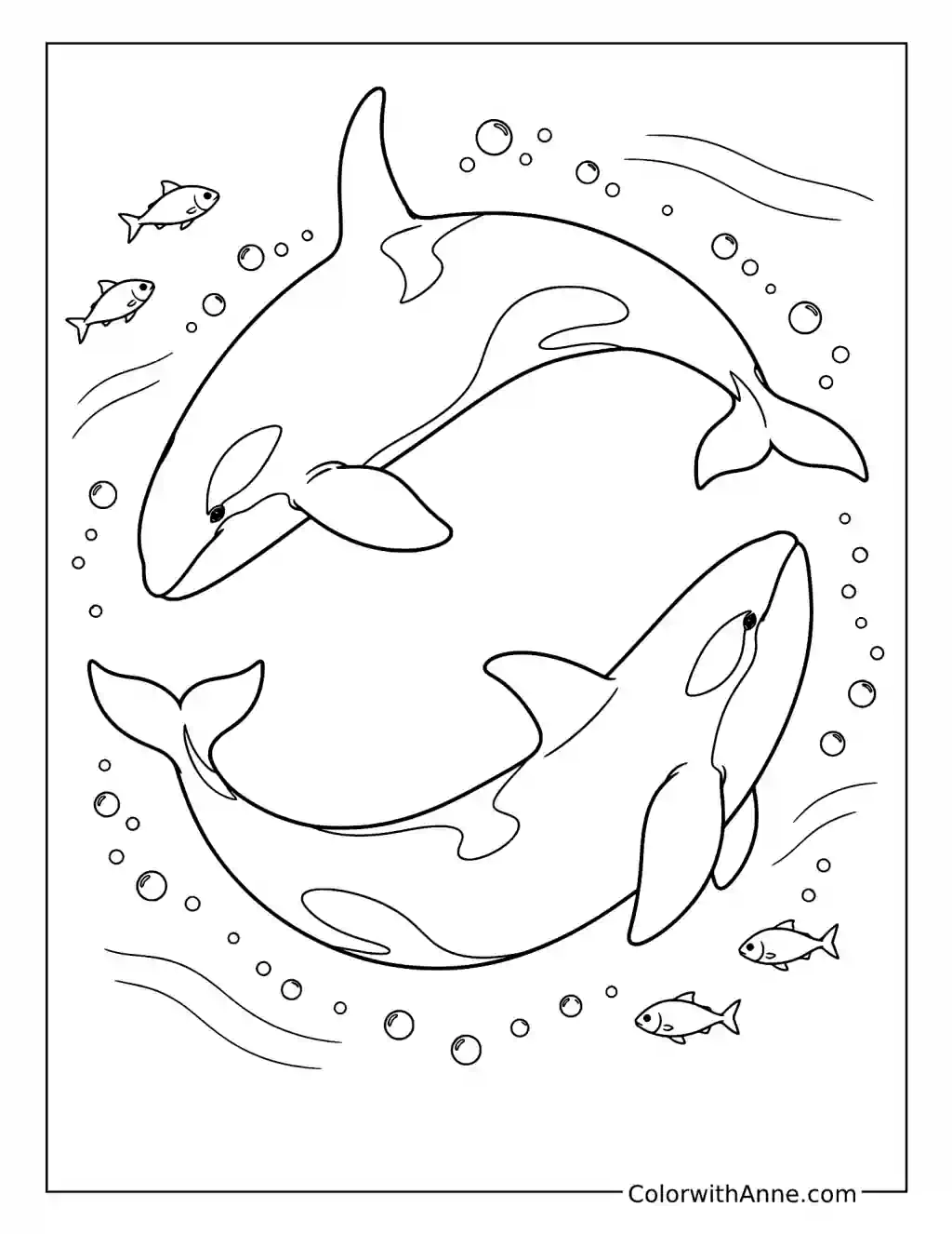 Two Orcas Swimming in a Circle coloring page