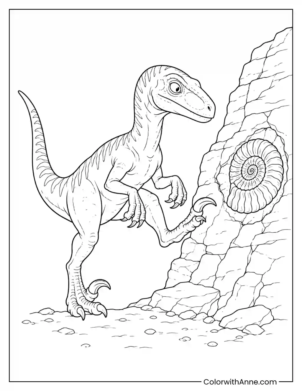 Velociraptor Discovering an Ammonite Fossil coloring page
