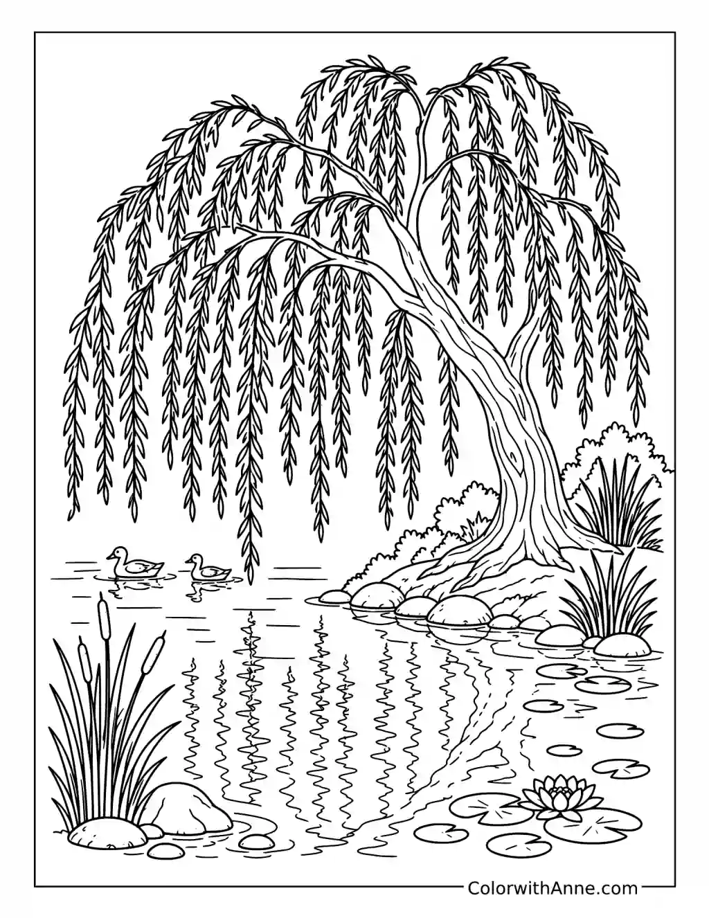 Weeping Willow by a Pond coloring page